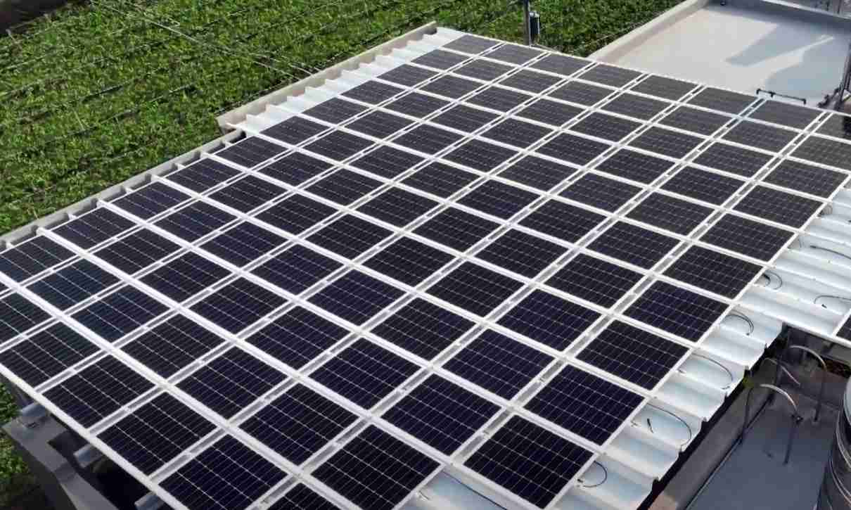 EBpaySunSteel光电浪板升级双玻结构，，以提升机械负载强度及气候耐候度，，，可广泛运用于多元场域