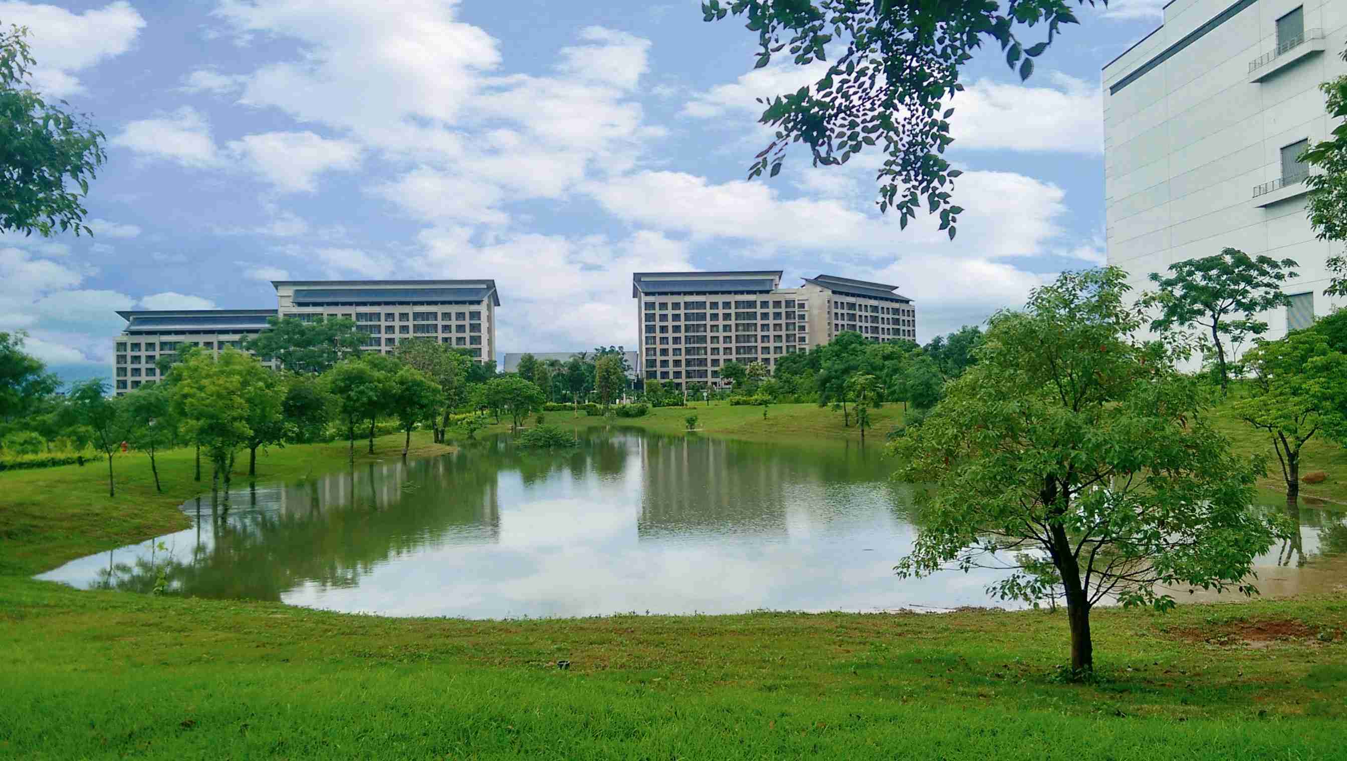 EBpay响应国际倡议生物多样性趋势，，首次发布TNFD自然相关财务揭露报告书，，擘划及开展EBpay生物多样性政策之承诺，，逐步迈向与自然和谐共生